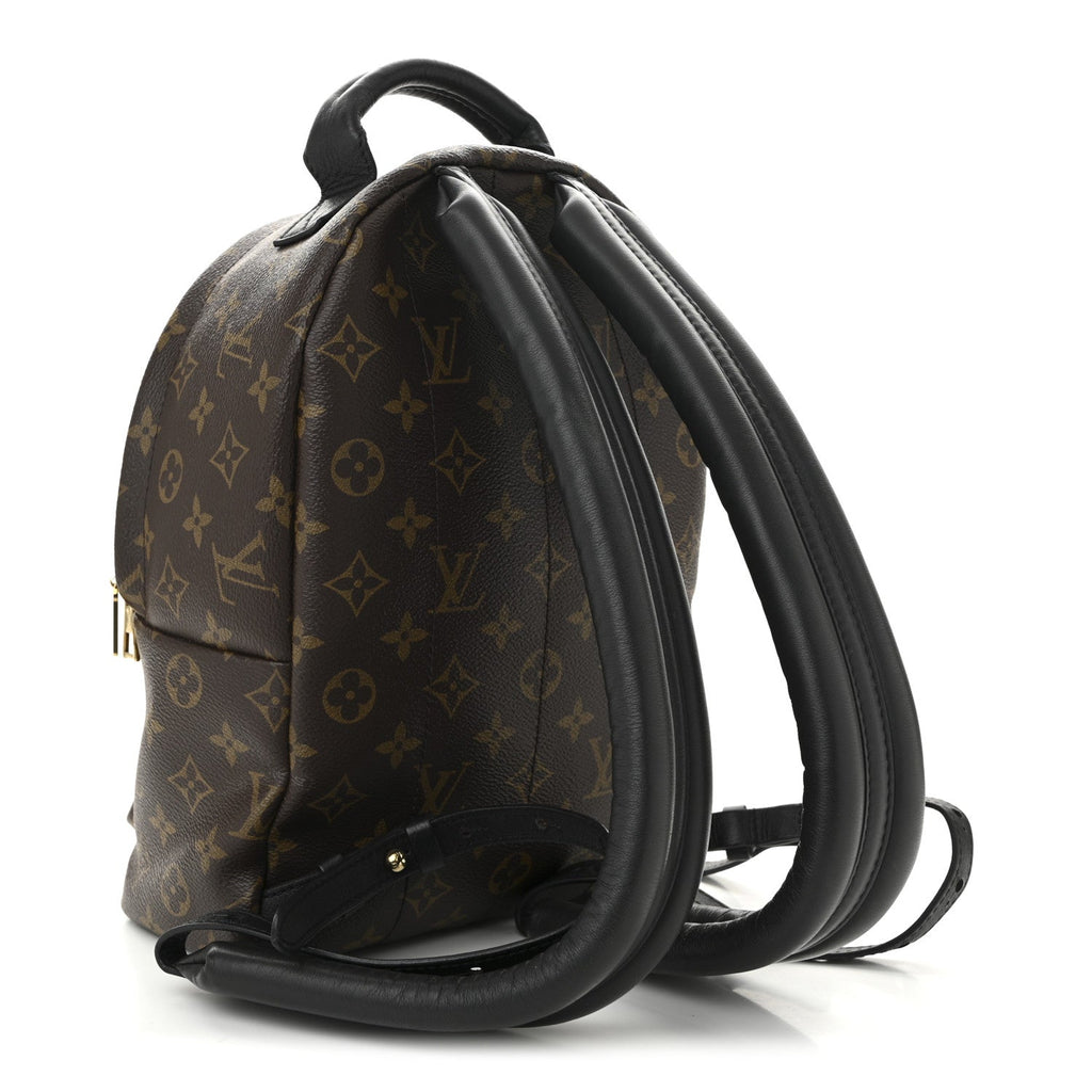Louis Vuitton Monogram Palm Springs Backpack PM