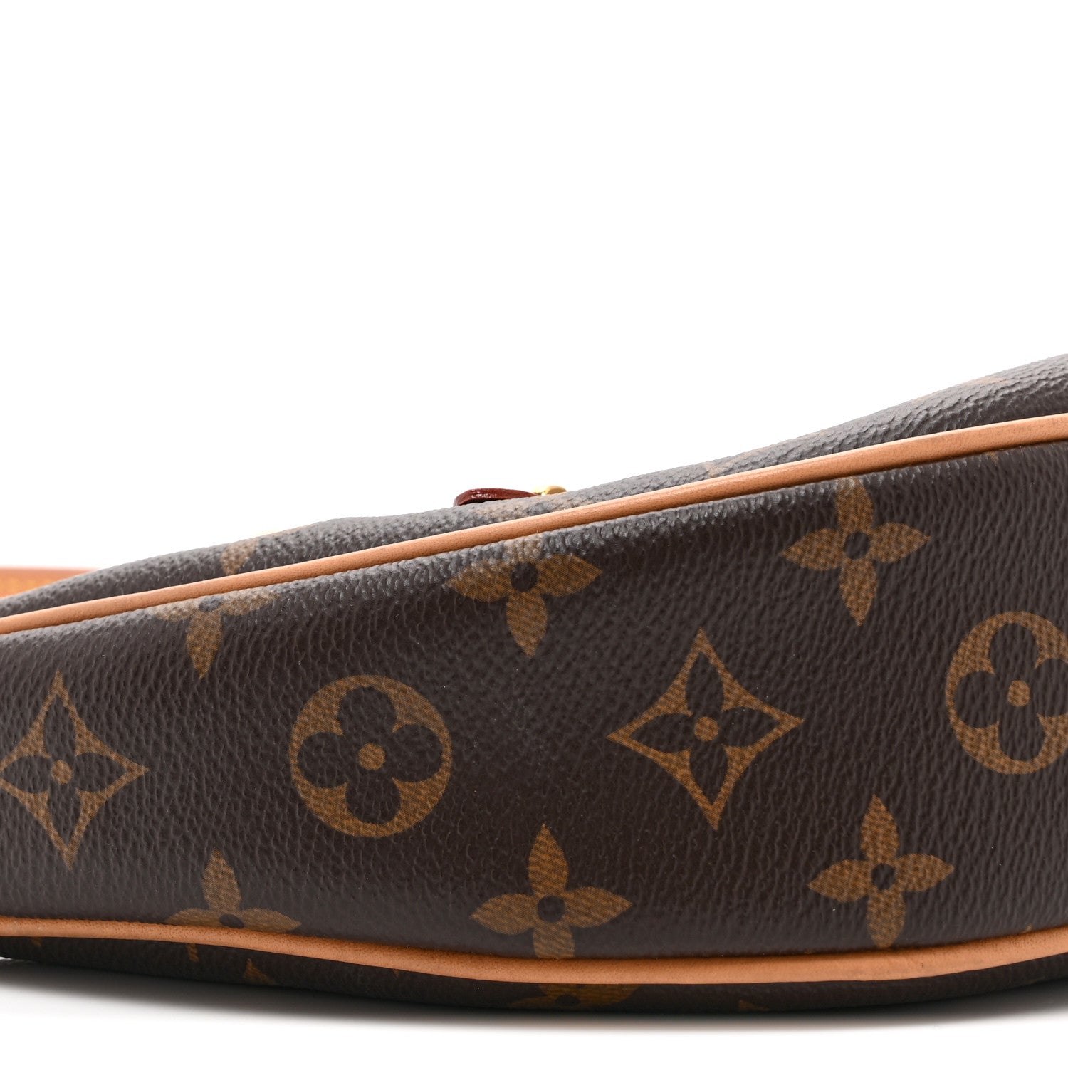 Louis Vuitton Monogram Loop