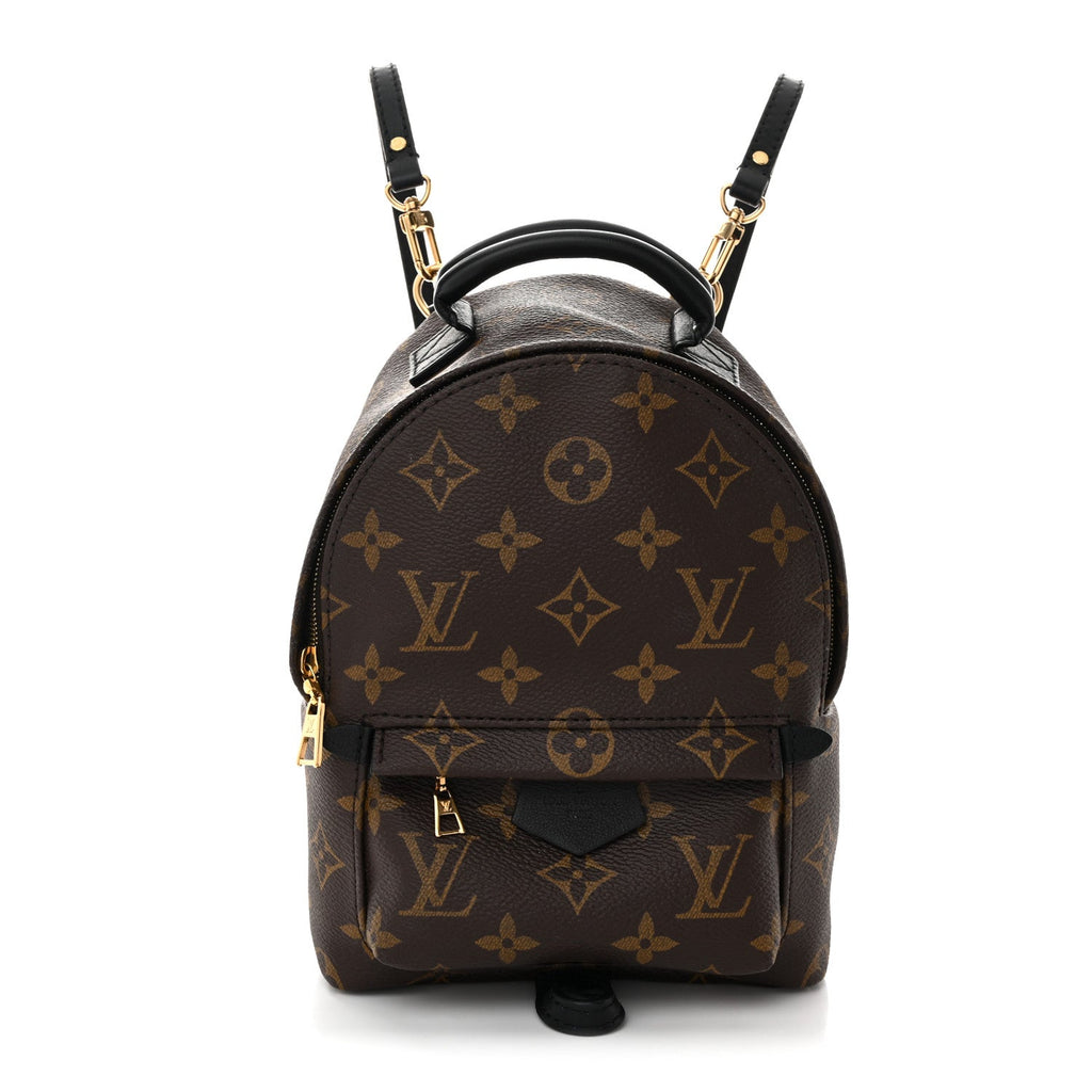 Louis Vuitton Monogram Palm Springs Backpack Mini