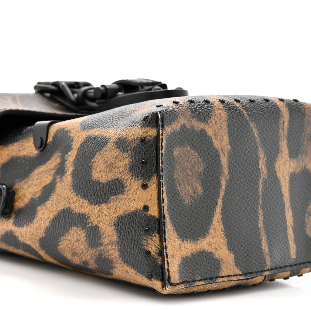 Louis Vuitton Monogram Leopard Camera Box