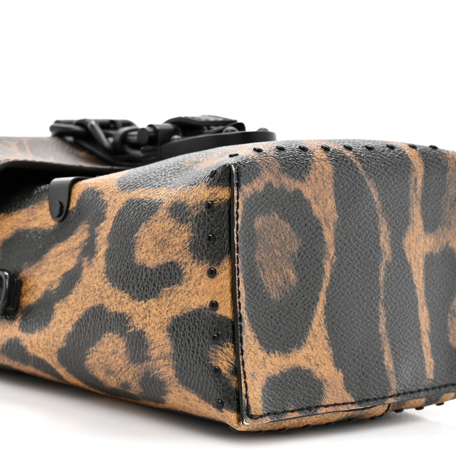 Louis Vuitton Monogram Leopard Camera Box