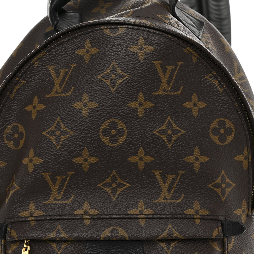 Louis Vuitton Monogram Palm Springs Backpack PM