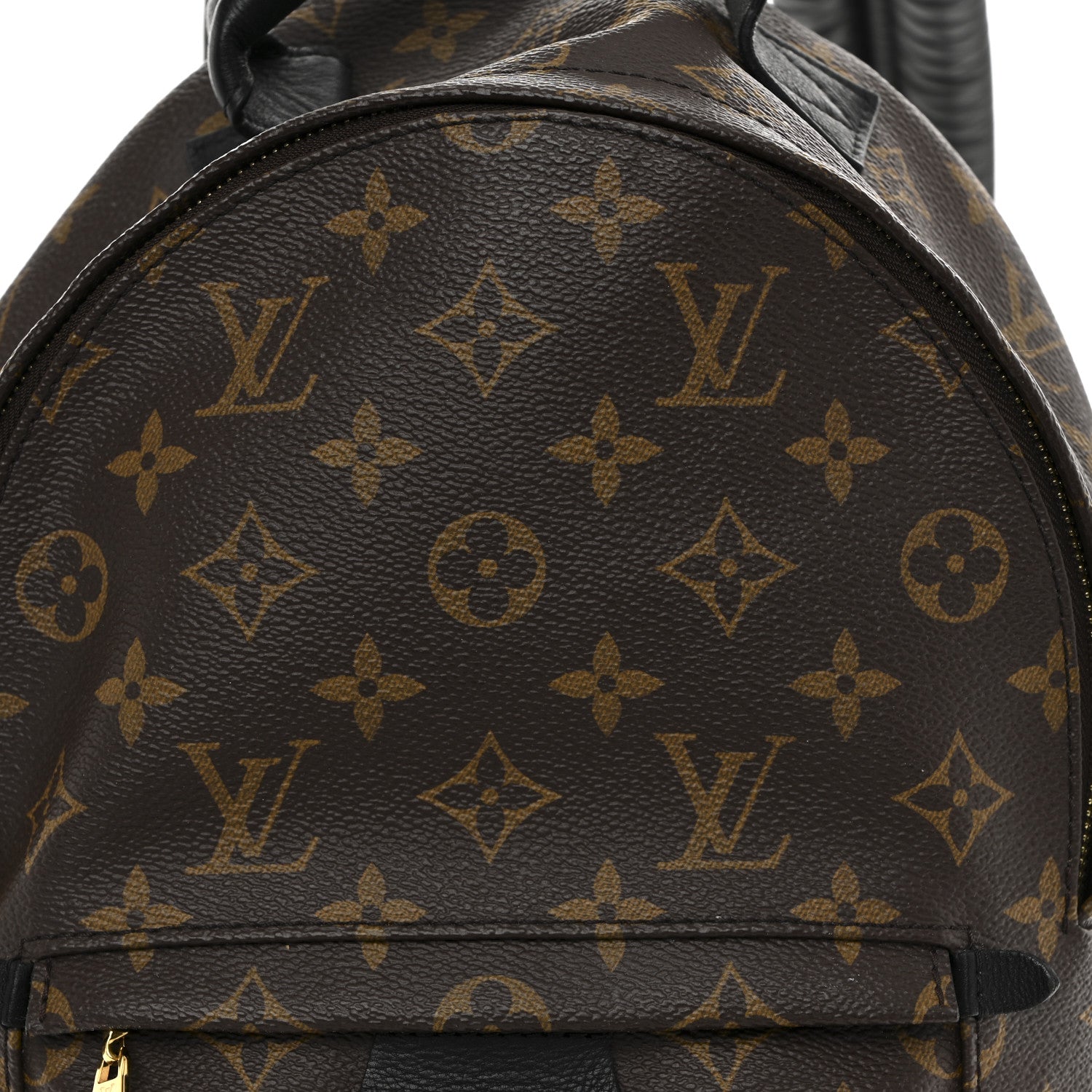 Louis Vuitton Monogram Palm Springs Backpack PM