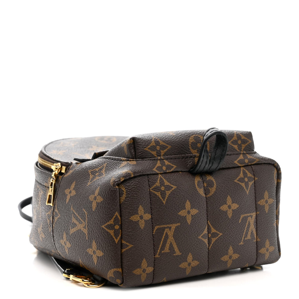 Louis Vuitton Monogram Palm Springs Backpack Mini