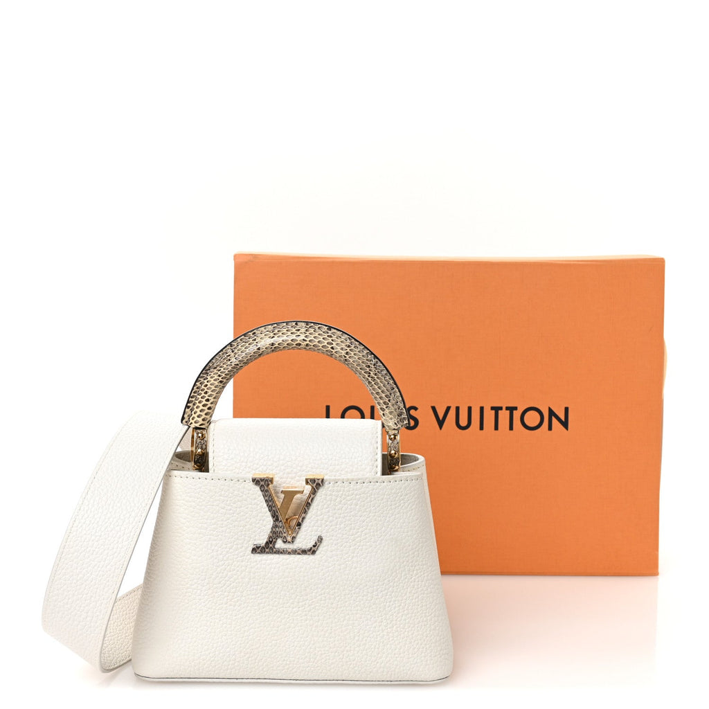 Louis Vuitton Taurillon Ayers Capucines Mini White Snow White