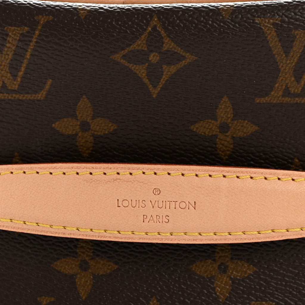 Louis Vuitton Monogram Nice Mini