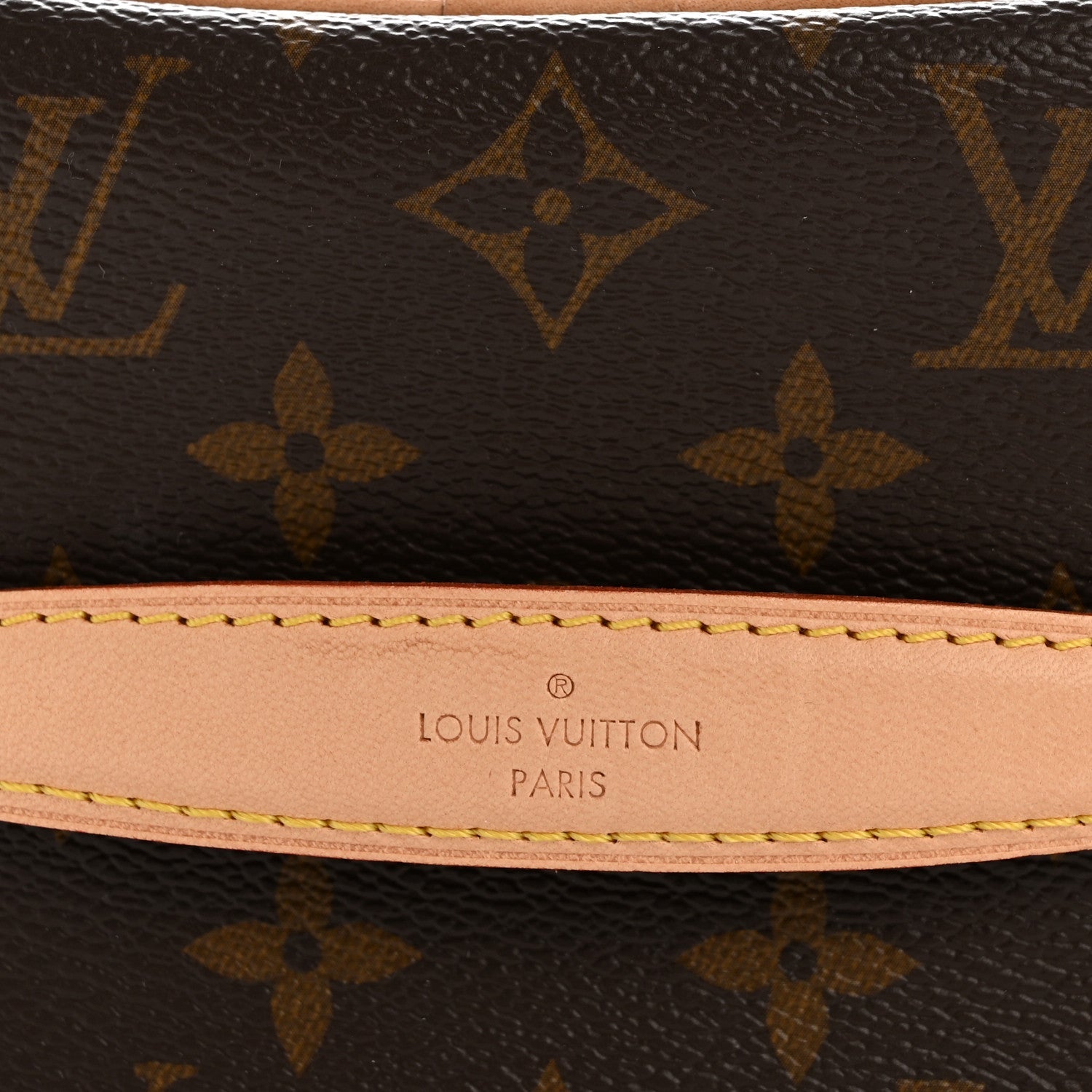 Louis Vuitton Monogram Nice Mini
