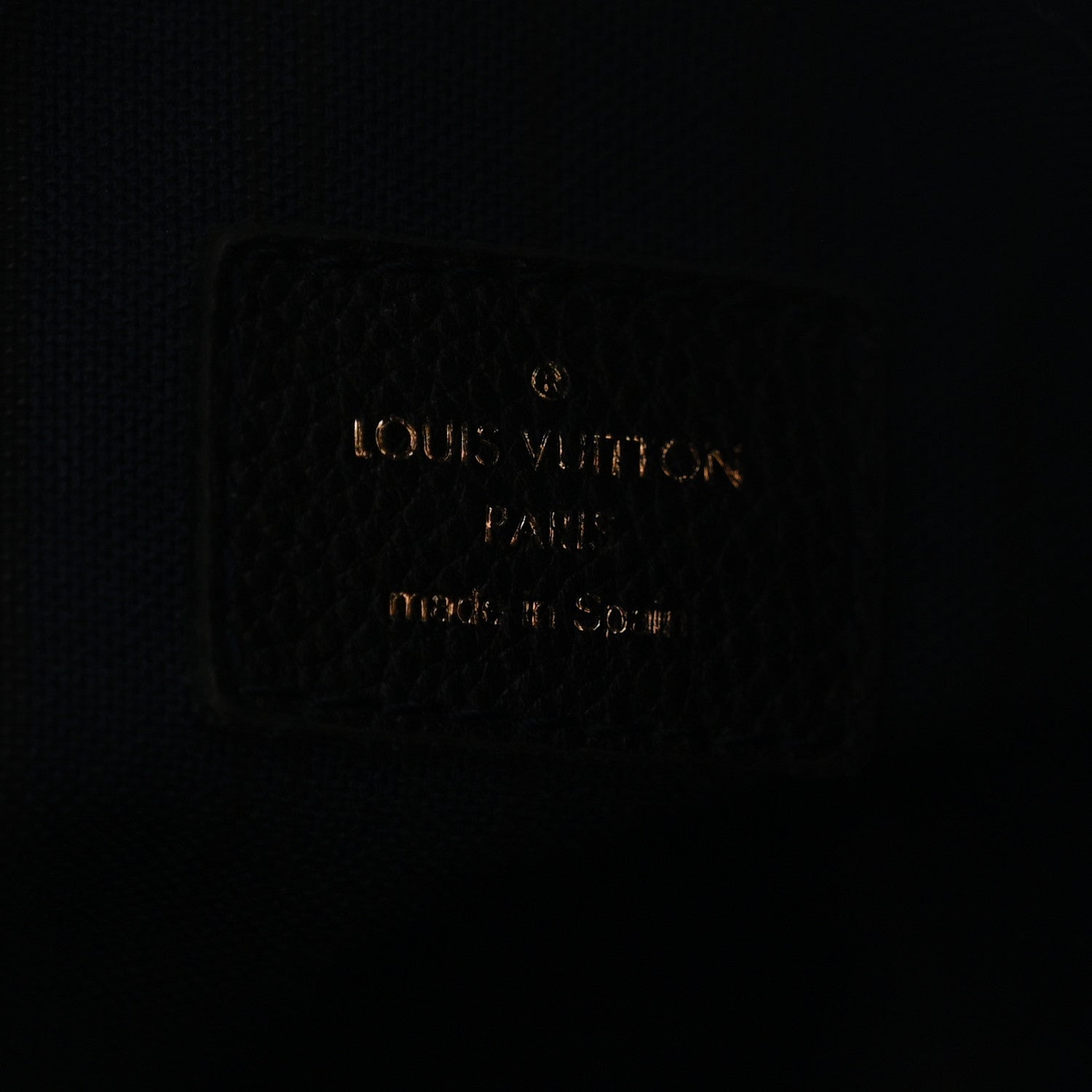 Louis Vuitton Empreinte Artsy MM Infini