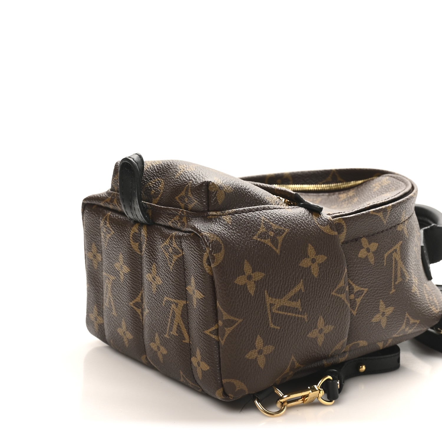 Louis Vuitton Monogram Palm Springs Backpack Mini