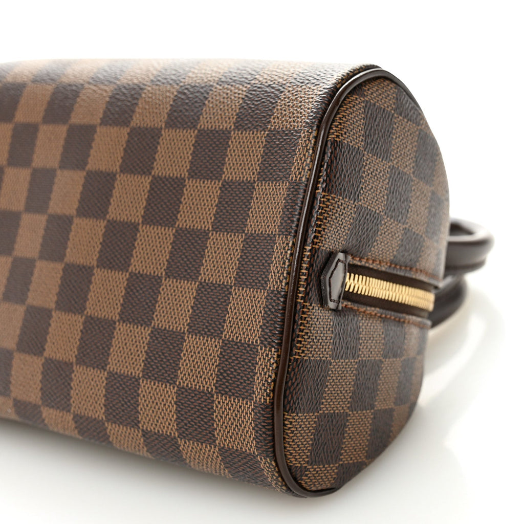 Louis Vuitton Damier Ebene Ribera Mini