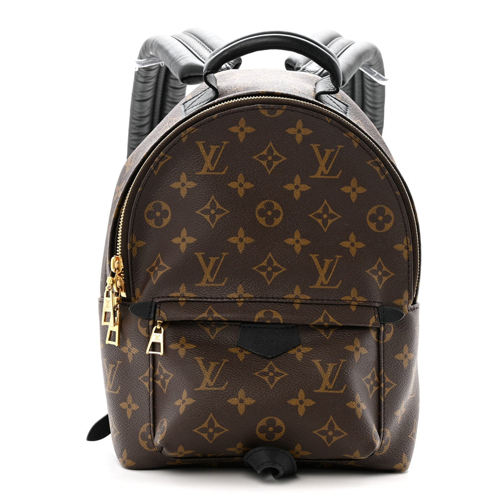 Louis Vuitton Monogram Palm Springs Backpack PM