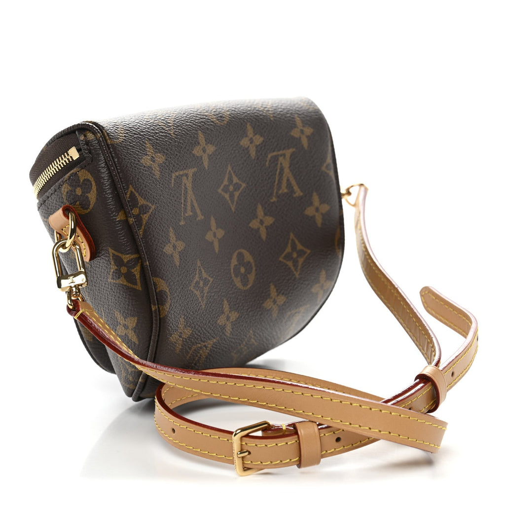 Louis Vuitton Monogram Mini Bumbag
