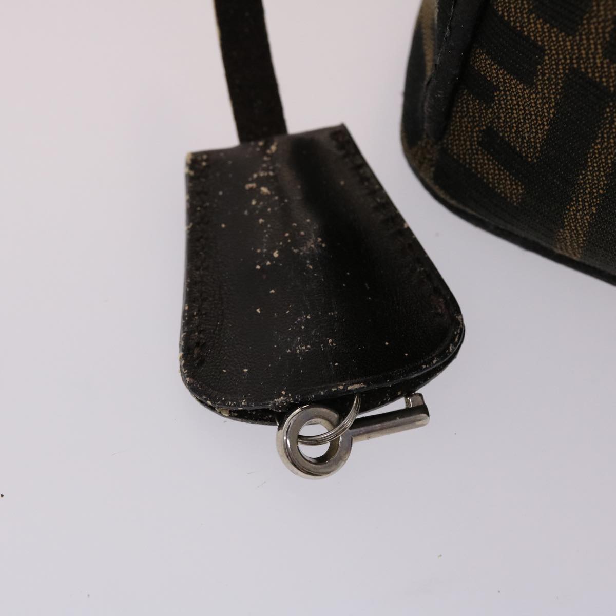 FENDI Zucca Canvas Vanity Hand Bag Nylon Brown Black  48013