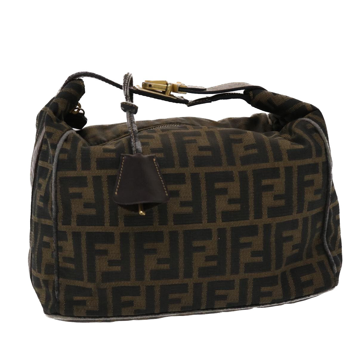 FENDI Zucca Canvas Hand Bag Nylon Brown Black  48233
