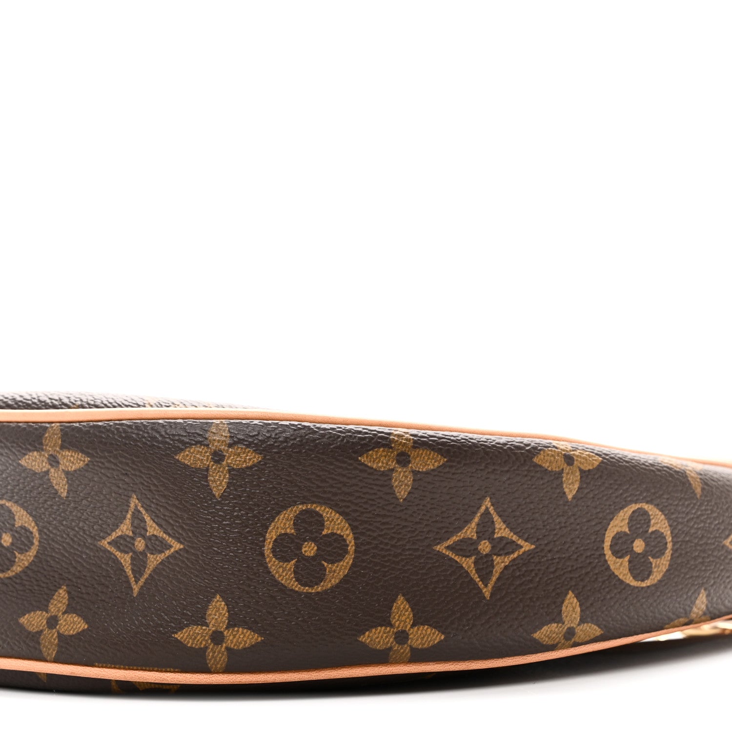 Louis Vuitton Monogram Loop