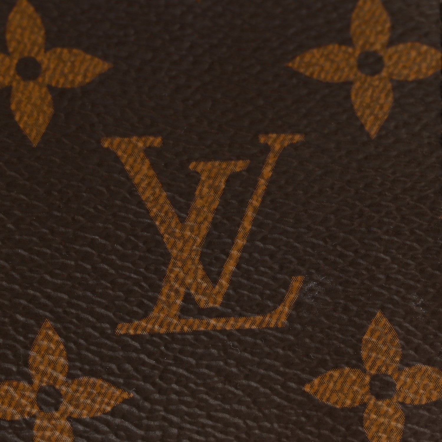 Louis Vuitton Monogram Nice Mini