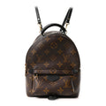 Louis Vuitton Monogram Palm Springs Backpack Mini