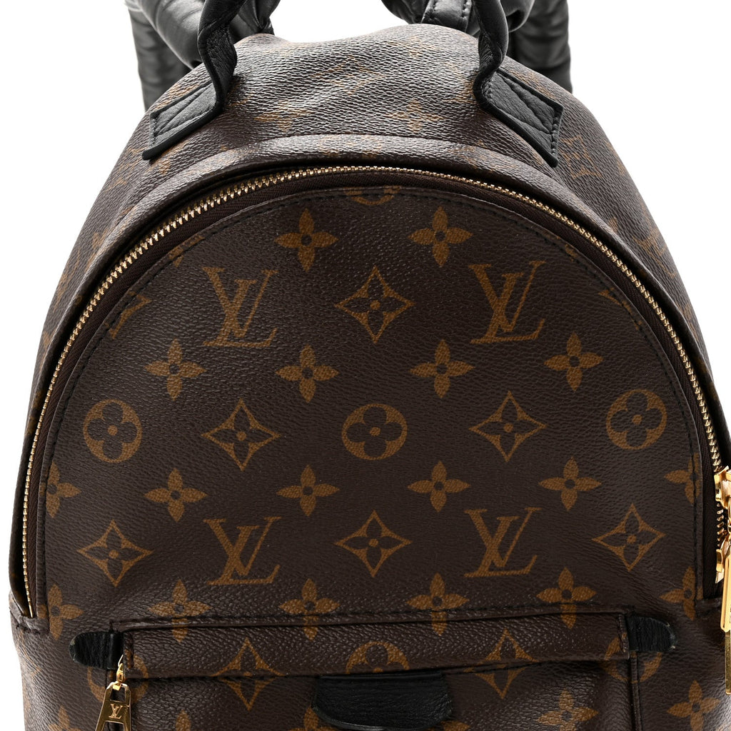 Louis Vuitton Monogram Palm Springs Backpack PM