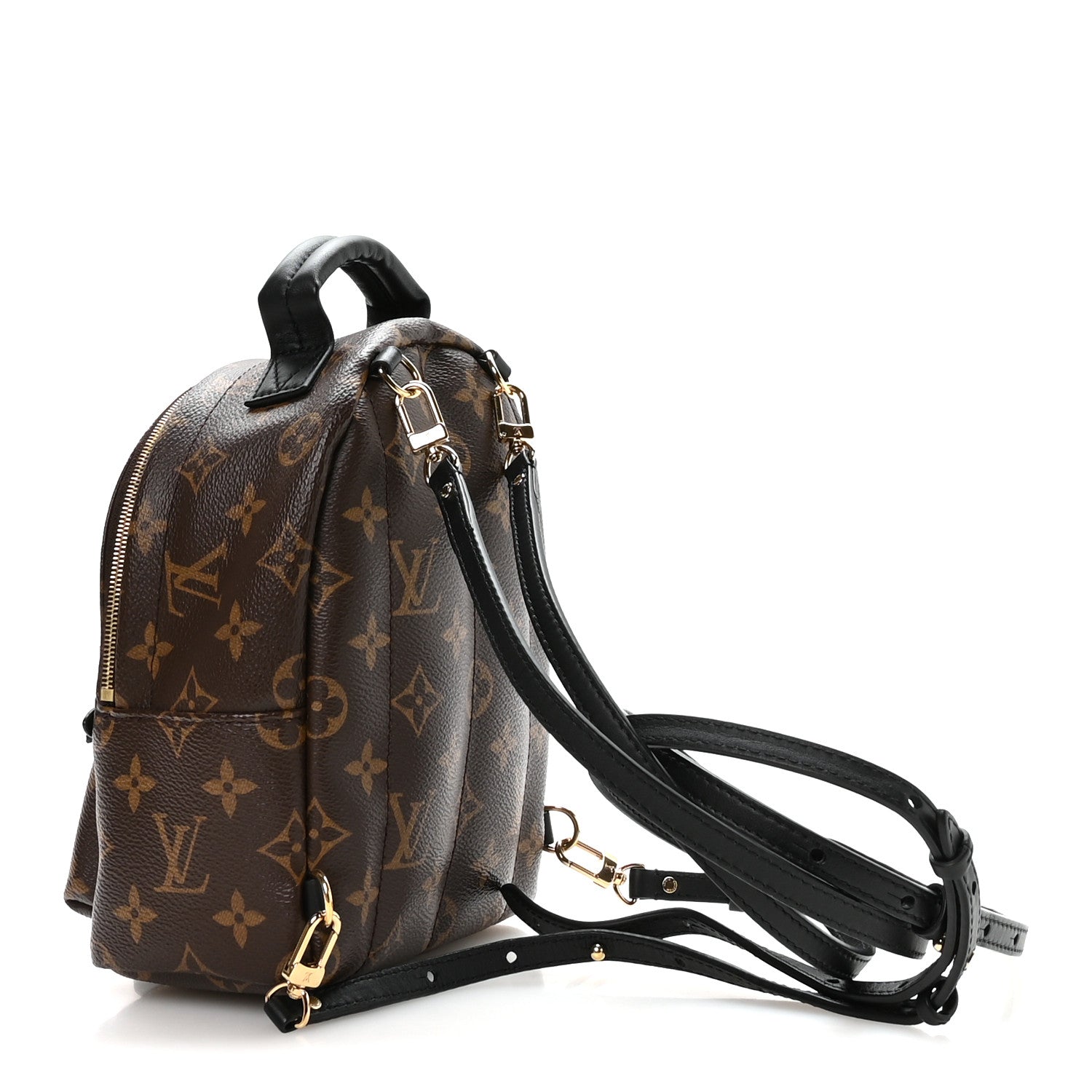 Louis Vuitton Monogram Palm Springs Backpack Mini