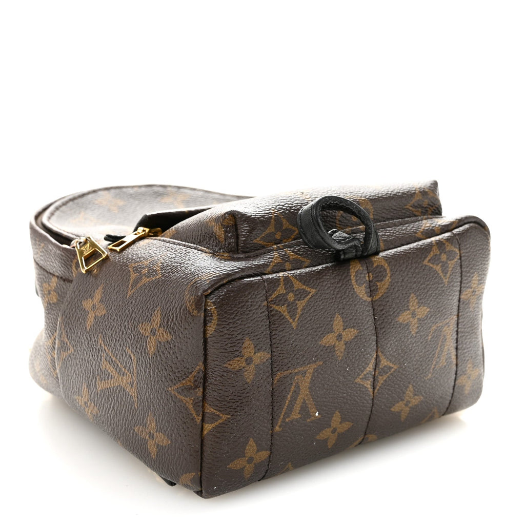 Louis Vuitton Monogram Palm Springs Backpack Mini