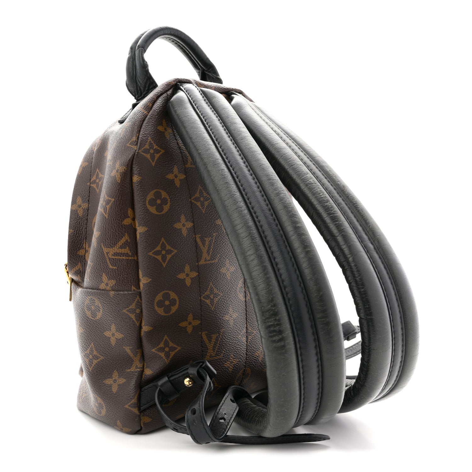 Louis Vuitton Monogram Palm Springs Backpack PM