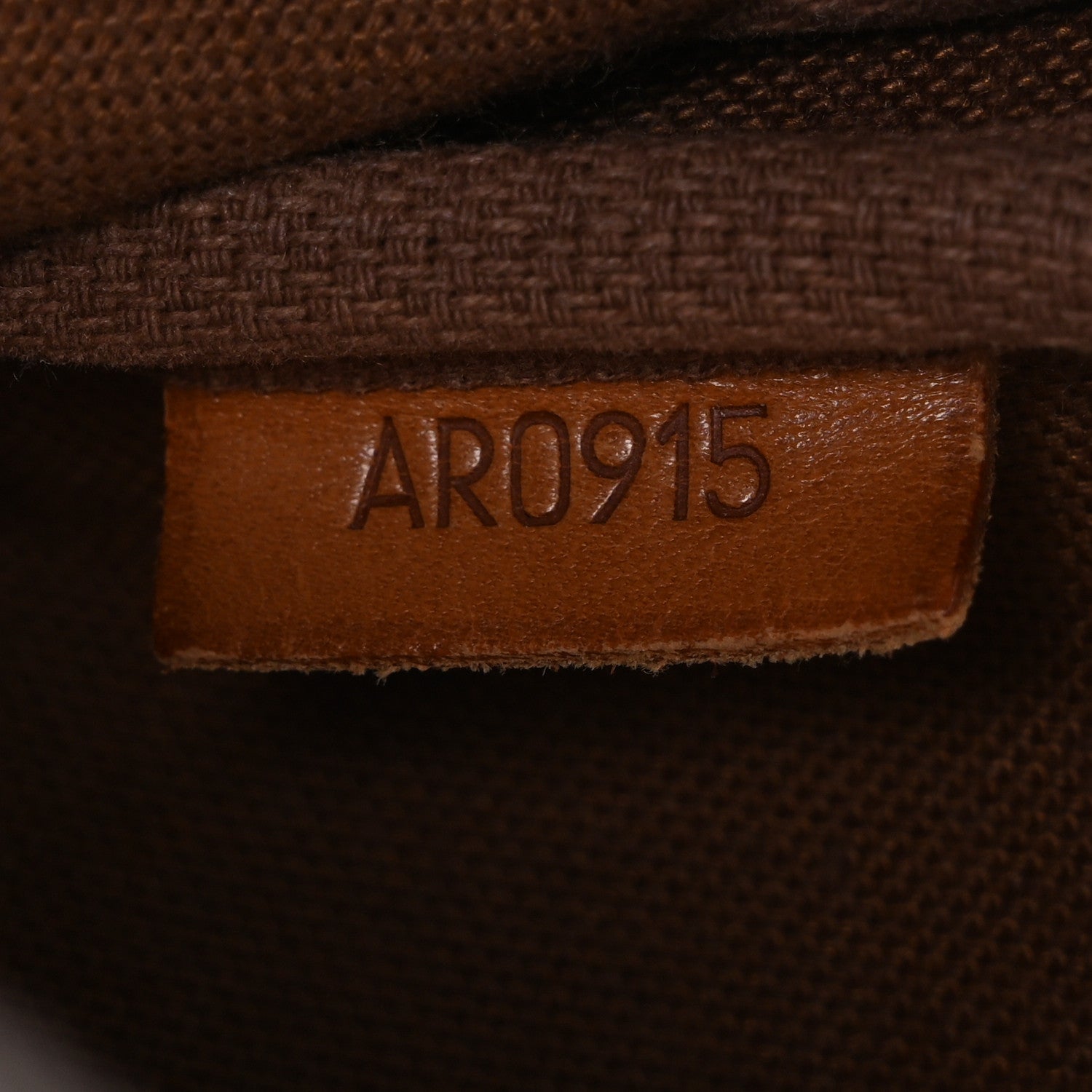 Louis Vuitton Monogram Pochette Accessories