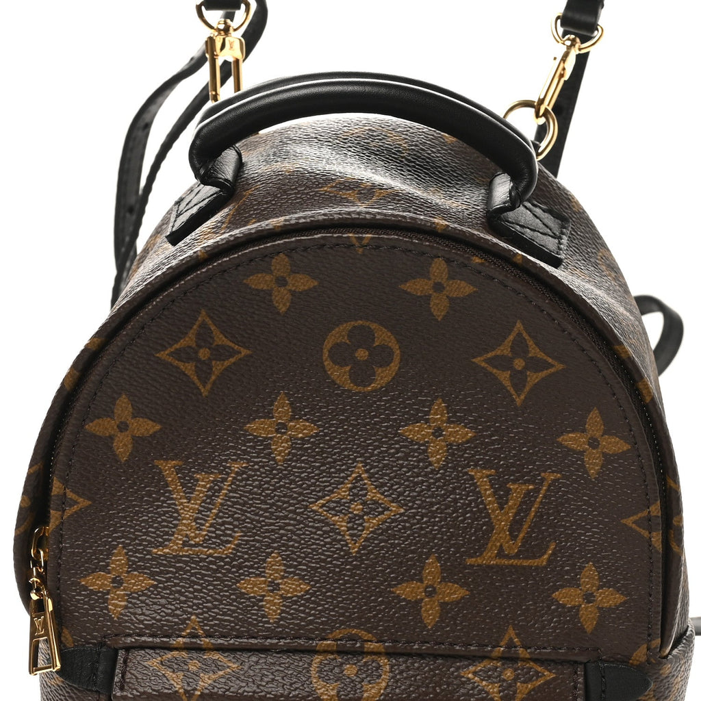 Louis Vuitton Monogram Palm Springs Backpack Mini
