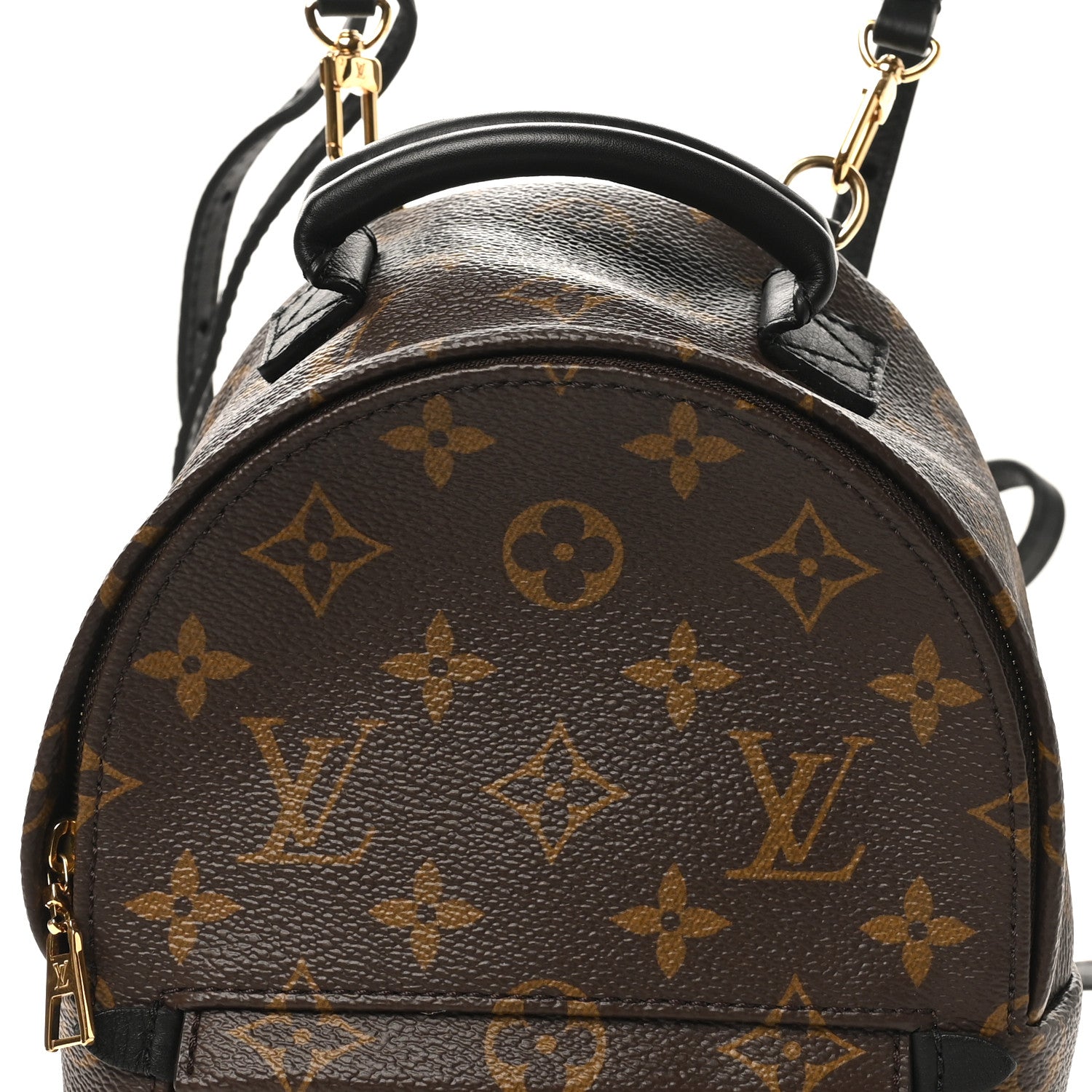Louis Vuitton Monogram Palm Springs Backpack Mini
