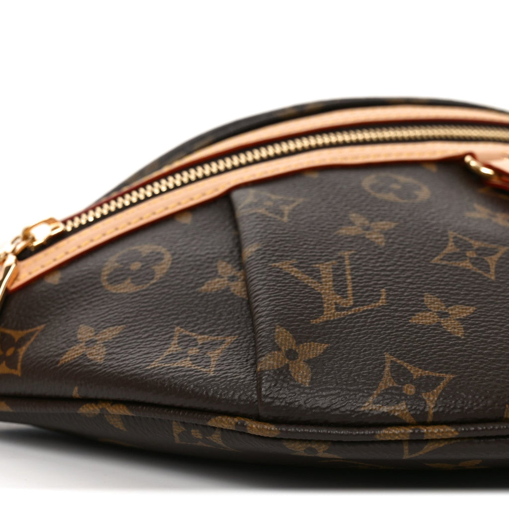 Louis Vuitton Monogram High Rise Bumbag