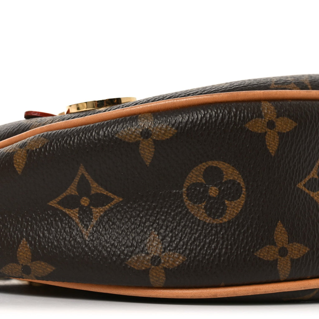 Louis Vuitton Monogram Loop