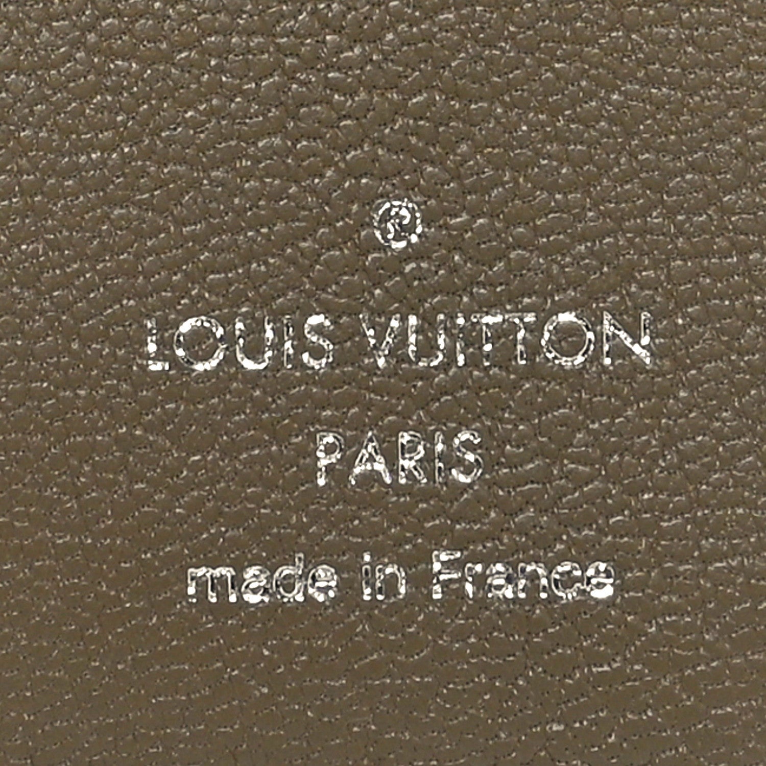 Louis Vuitton Crocodile Pocket Organizer Sage Green