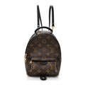 Louis Vuitton Monogram Palm Springs Backpack Mini