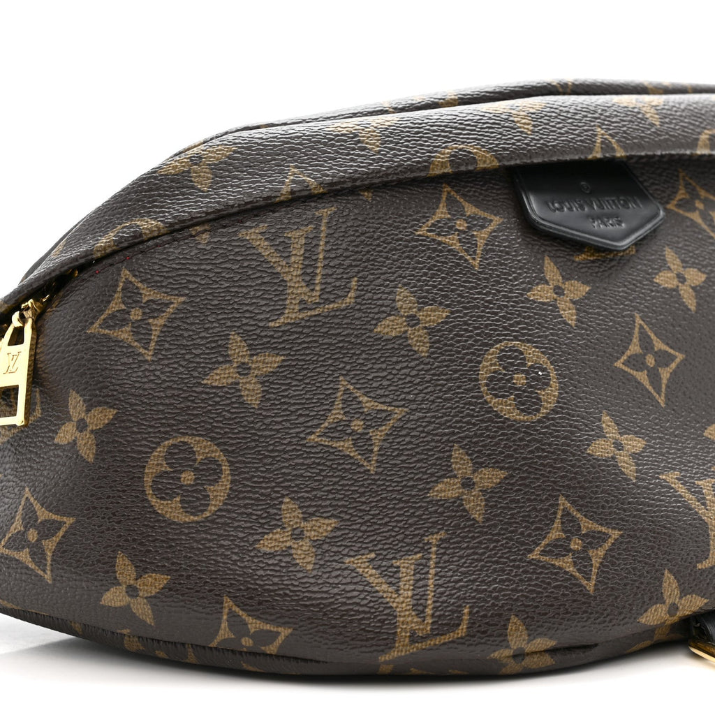 Louis Vuitton Monogram My LV World Tour Bumbag