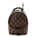 Louis Vuitton Monogram Palm Springs Backpack Mini