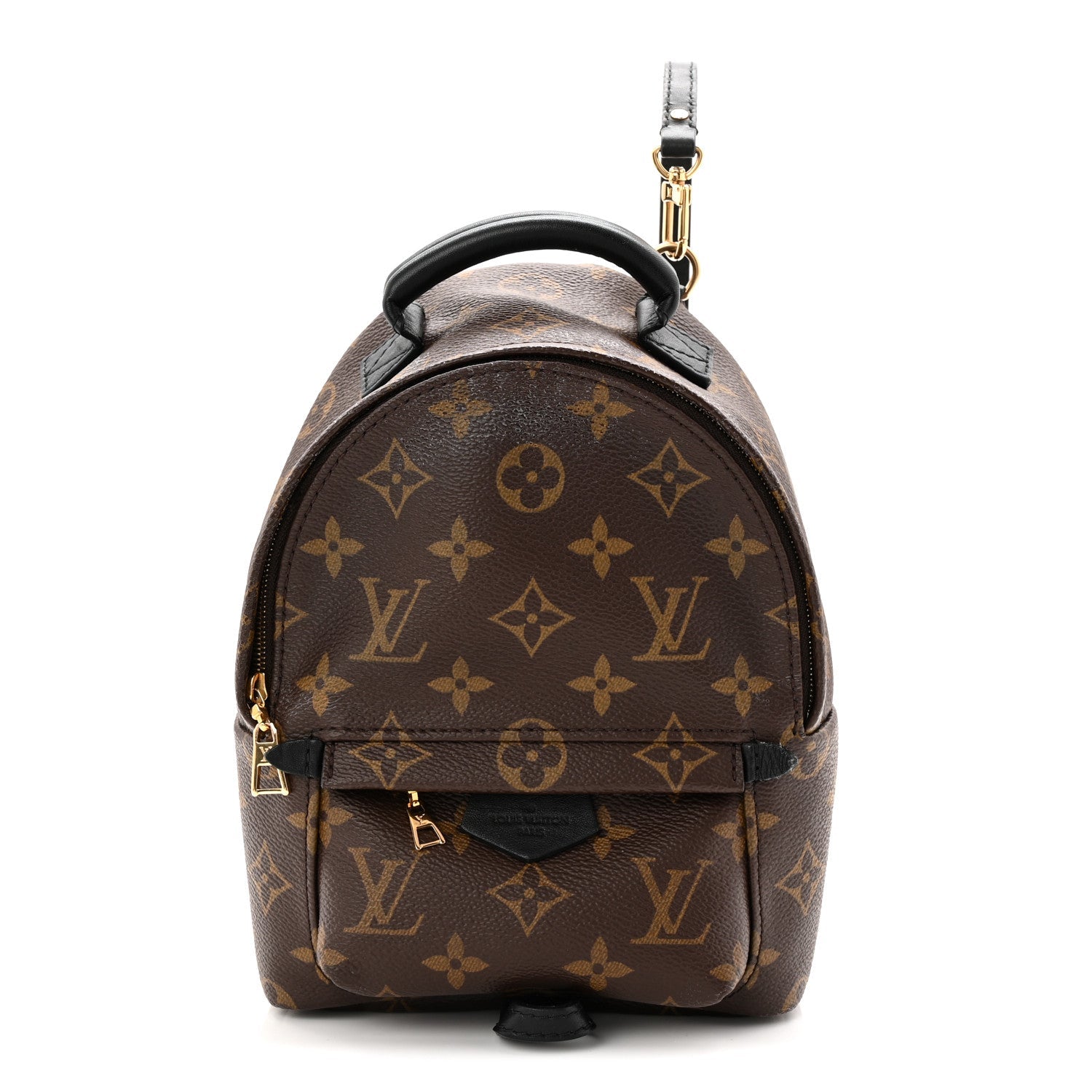Louis Vuitton Monogram Palm Springs Backpack Mini