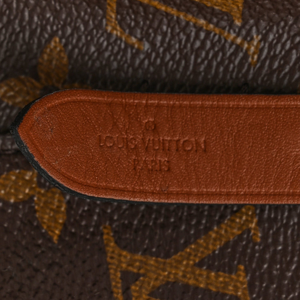Louis Vuitton Monogram Neonoe MM Caramel