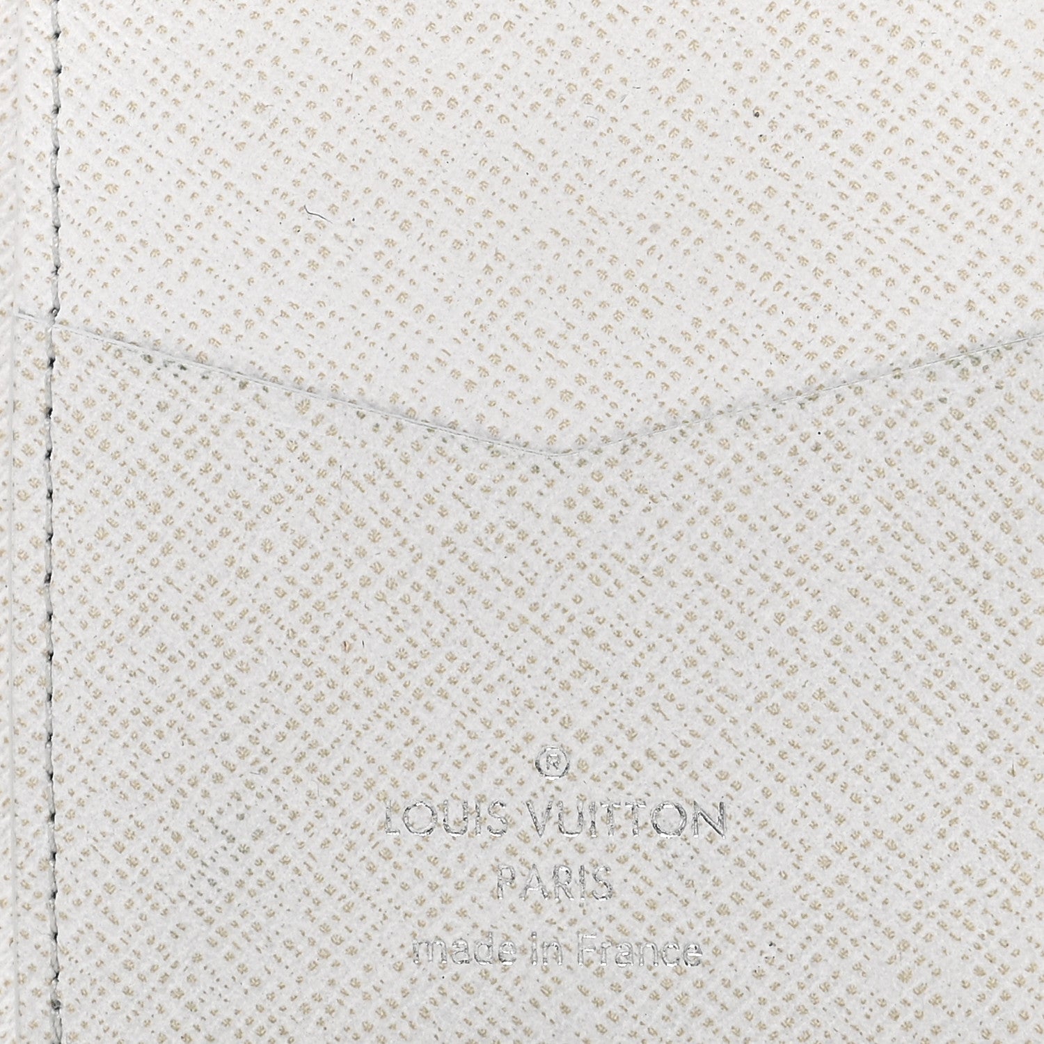 Louis Vuitton Taigarama Pocket Organizer NM Antartica