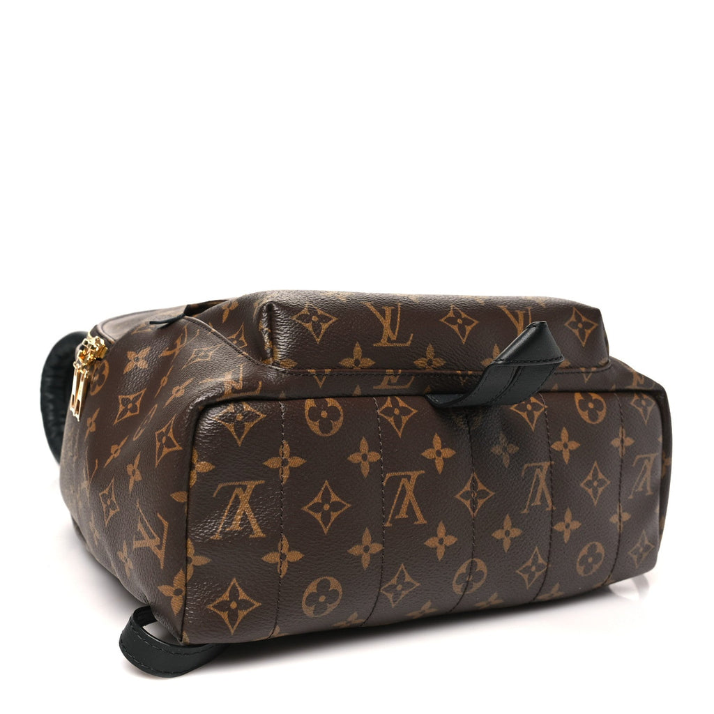Louis Vuitton Monogram Palm Springs Backpack MM