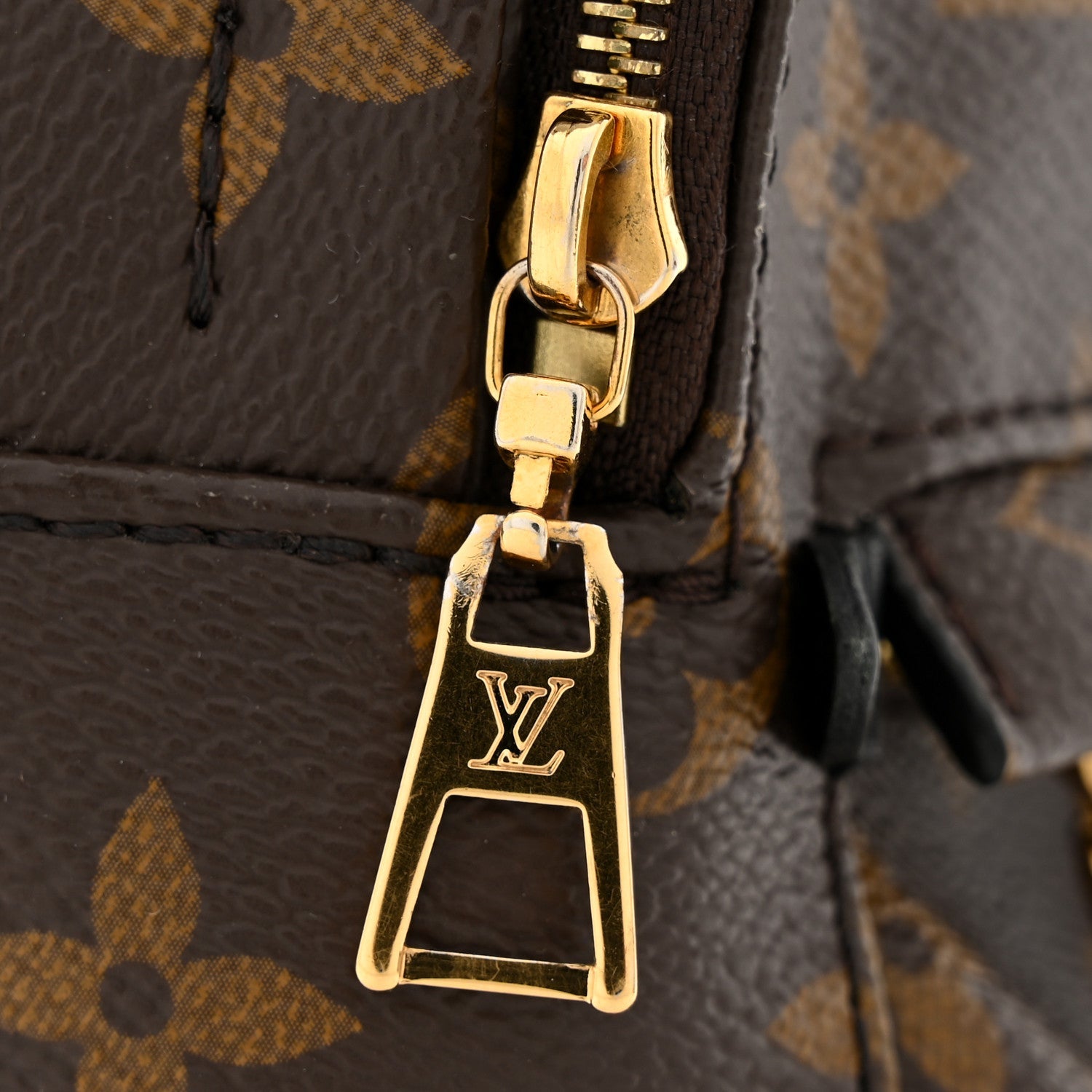 Louis Vuitton Monogram Palm Springs Backpack Mini