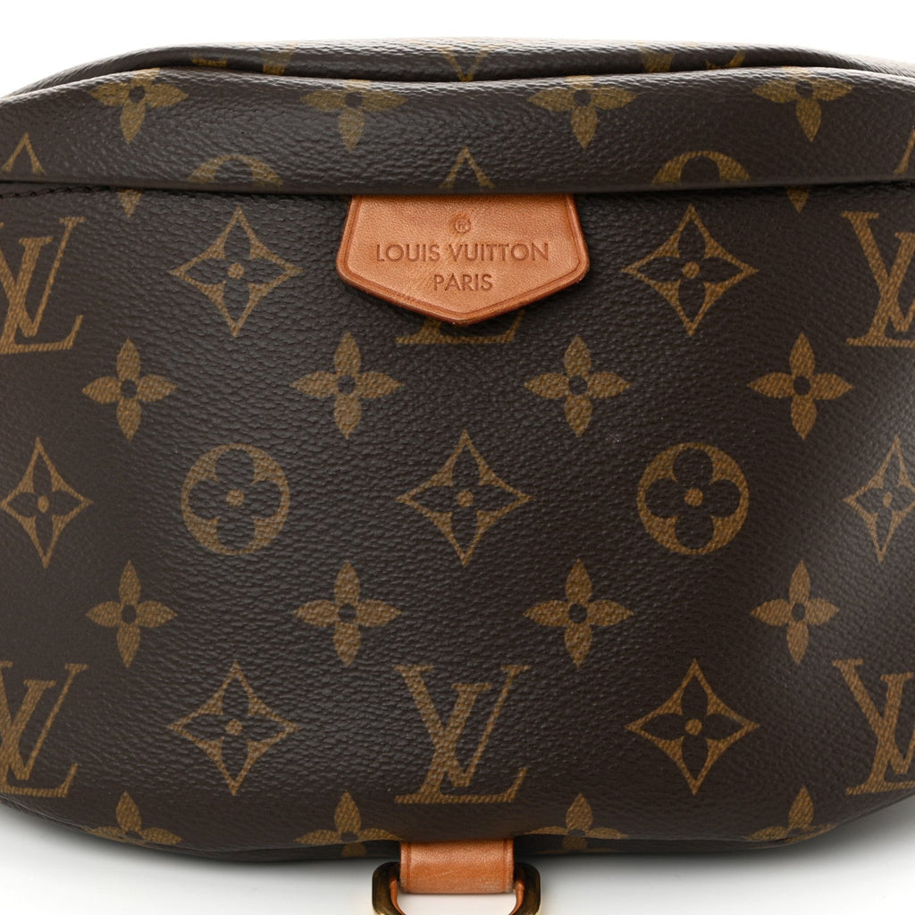 Louis Vuitton Monogram Bumbag