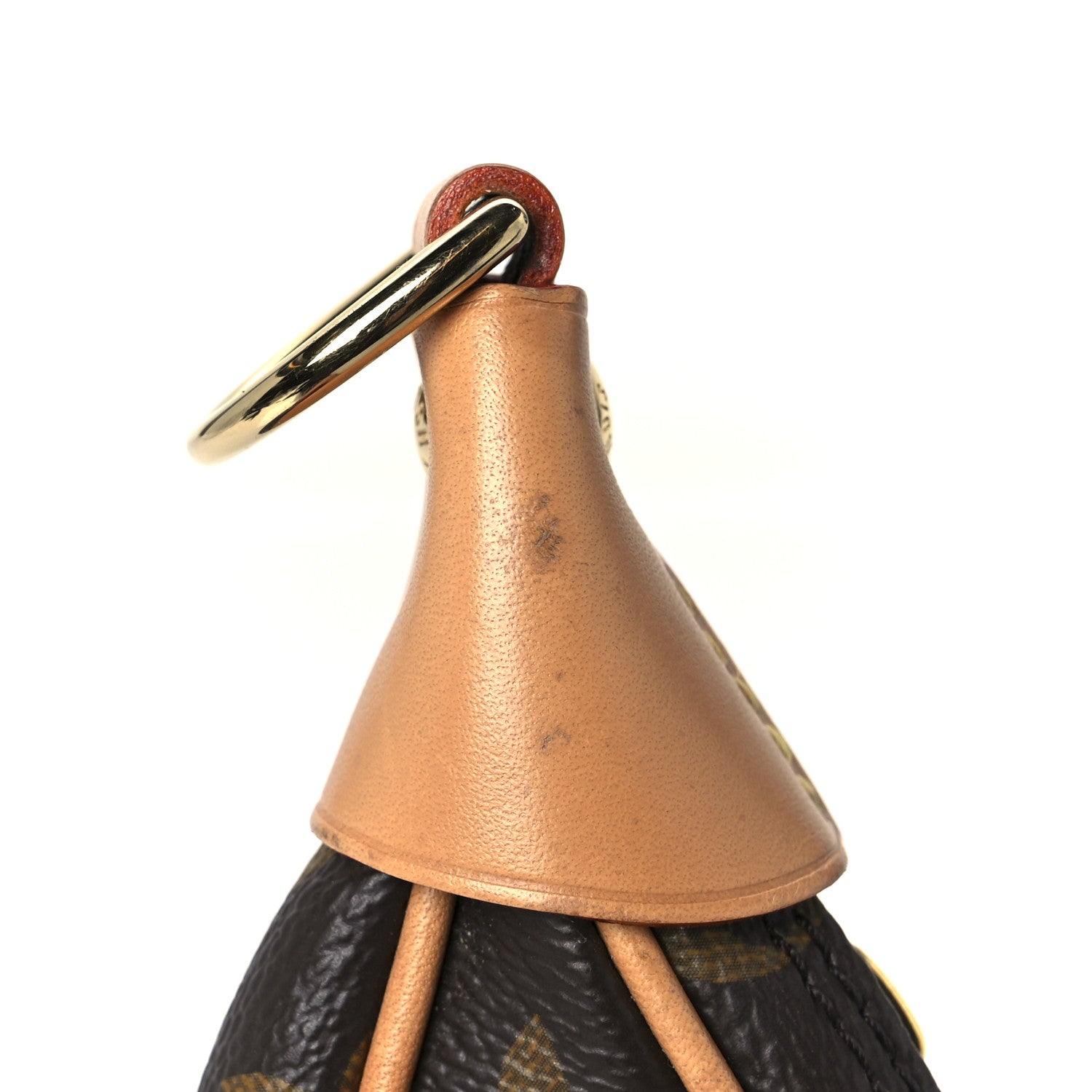 Louis Vuitton Monogram Loop
