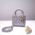 Dior Bags - 2909