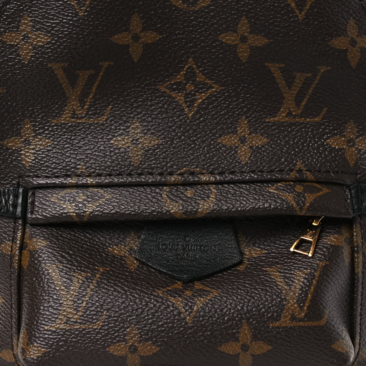 Louis Vuitton Monogram Palm Springs Backpack Mini