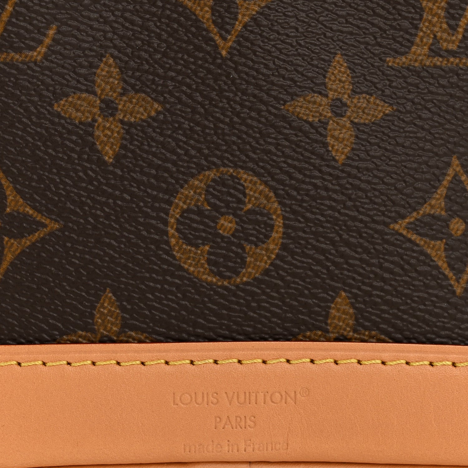 Louis Vuitton Monogram Nano Noe NV