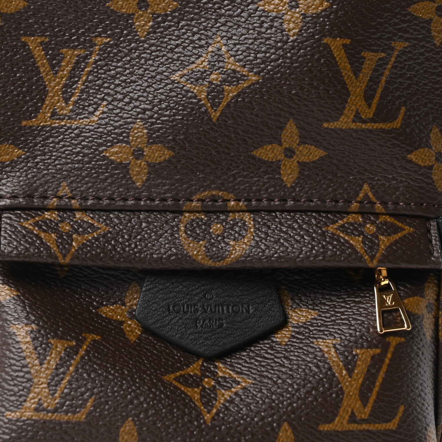 Louis Vuitton Monogram Palm Springs Backpack Mini