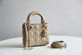 Dior Bags - 5432