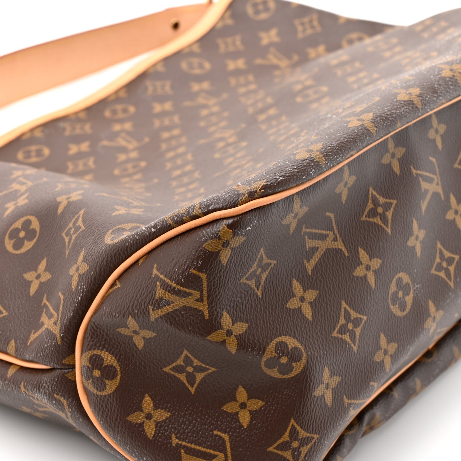 Louis Vuitton Monogram Delightful MM