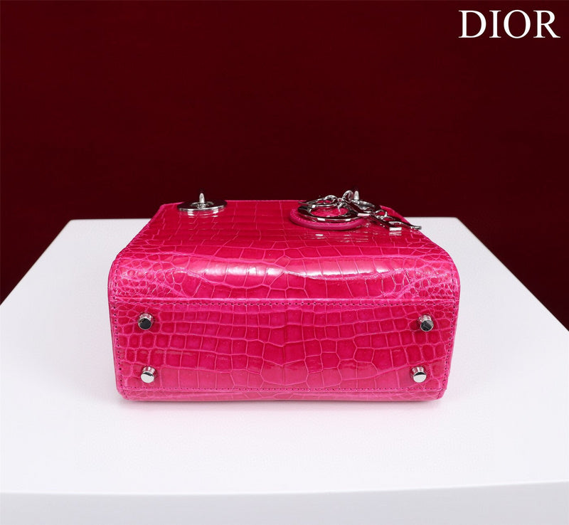 Dior Bag