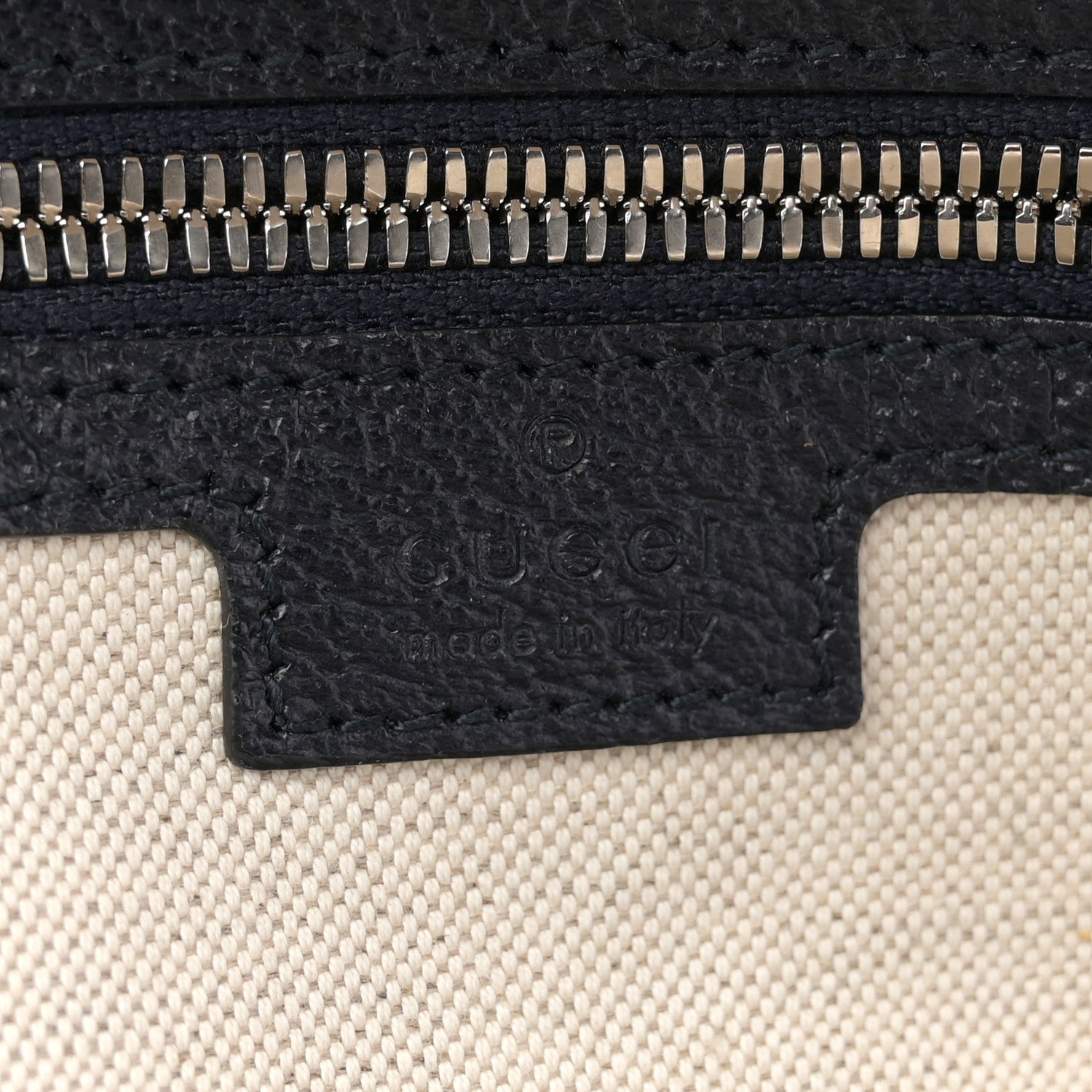Gucci GG Supreme Monogram Textured Dollar Calfskin Web Small Ophidia Day Backpack Beige Blue Black