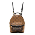 Louis Vuitton Reverse Monogram Palm Springs Backpack Mini
